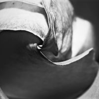 Thumb IMG 0361 1024