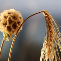 Thumb IMG 0773 1024