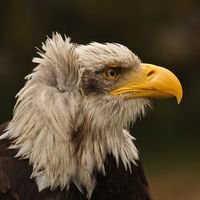 IMG 0898