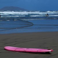 IMG 8081