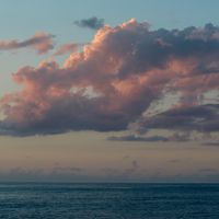 IMG 8359