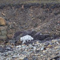 IMG 4780