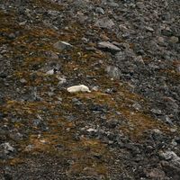 IMG 5634