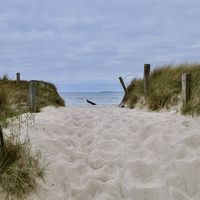 IMG 8575