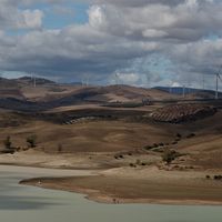 IMG 8728